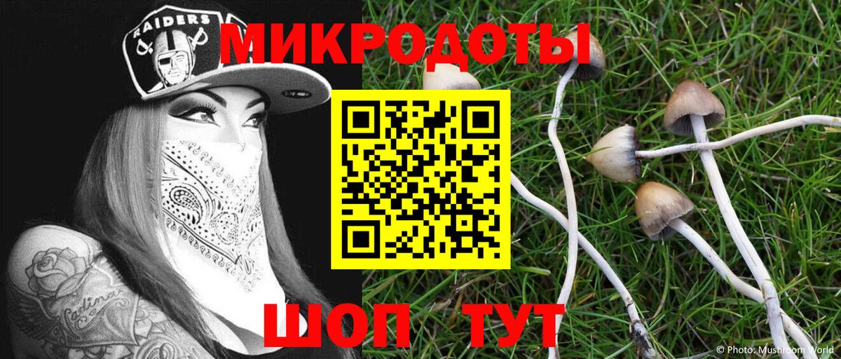 Псилоцибиновые грибы мухоморы  Псилоцибиновые грибы MAGIC MUSHROOMS  Вход с VPN  Краснознаменск 
